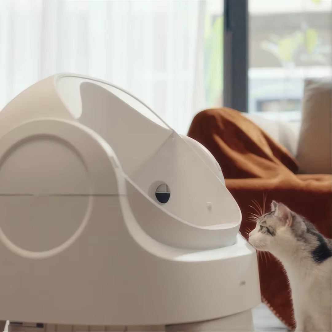 Large Cat Toilet Automatic Cat Litter Box Smart Self Cleaning Cat Litter Box